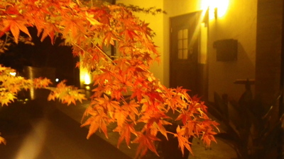 IMGP9222.JPGのサムネール画像